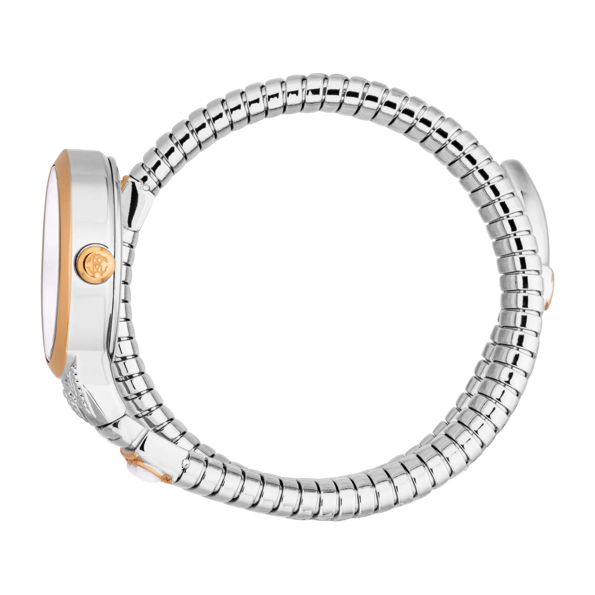 Roberto Cavalli Lady RC5L104M0065 image 2