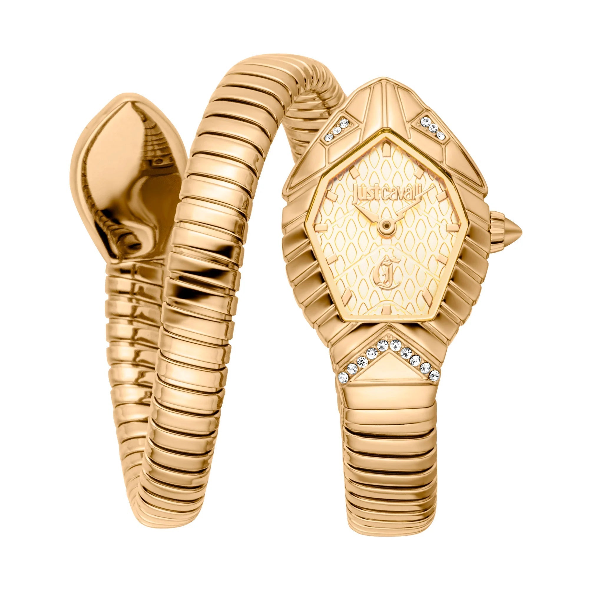 Just Cavalli Signature Snake Speranza Yellow Gold Champagne image 0