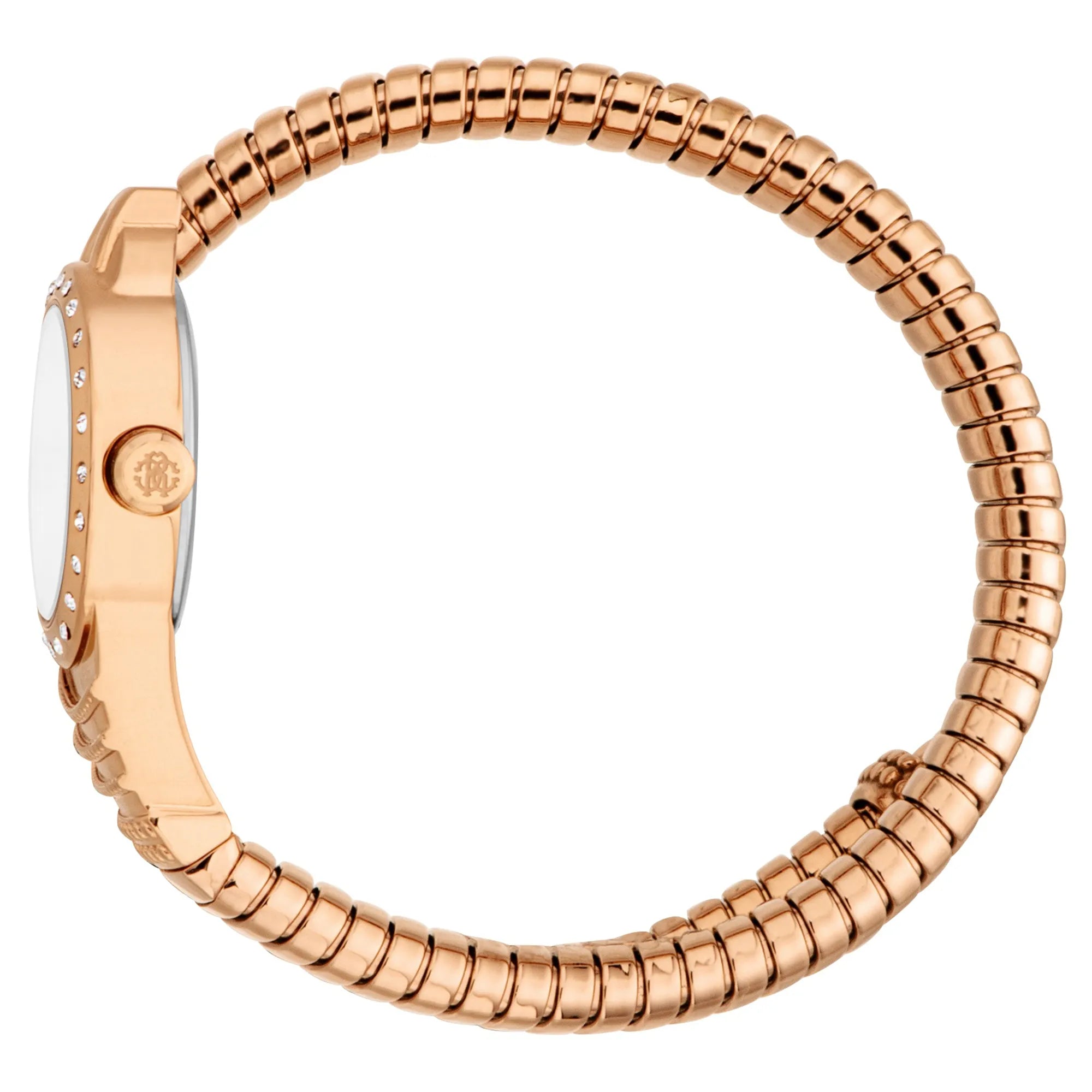 Roberto Cavalli Lady RC5L114M0055 image 2