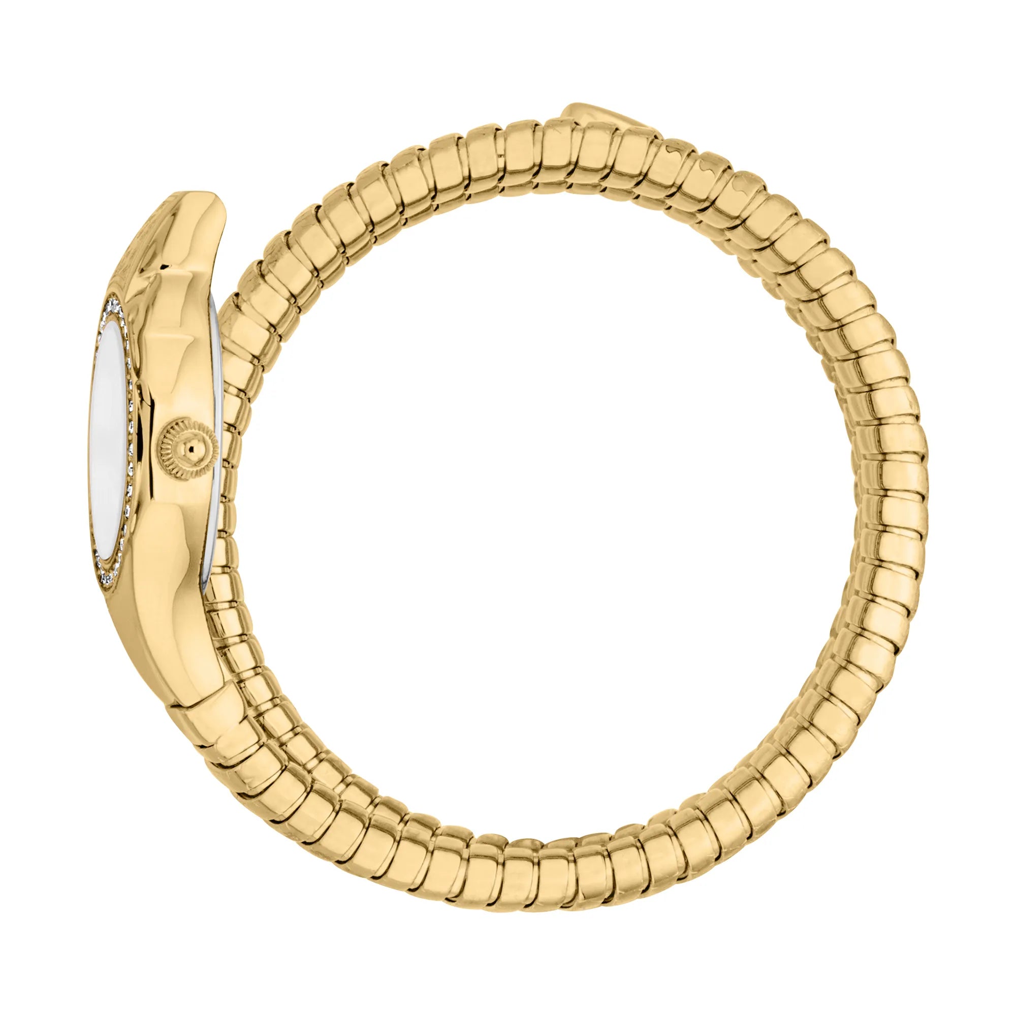 Just Cavalli Signature Snake Vita Yellow Gold Silver image 2