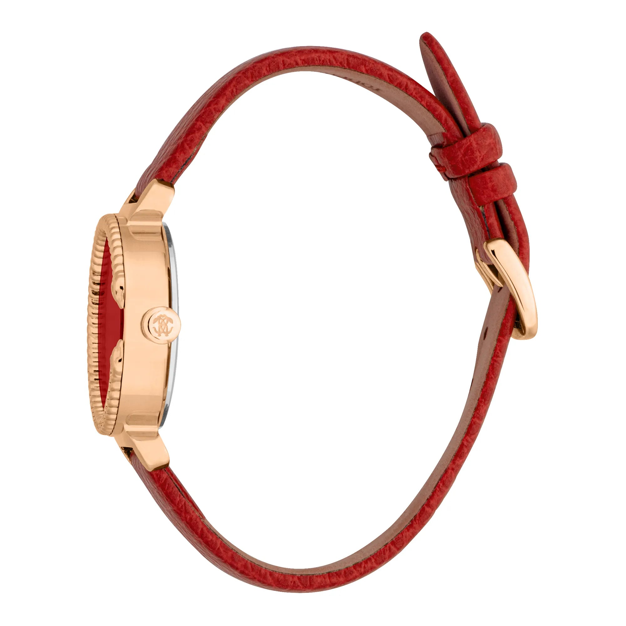 Roberto Cavalli Women's Origin Watch image 2