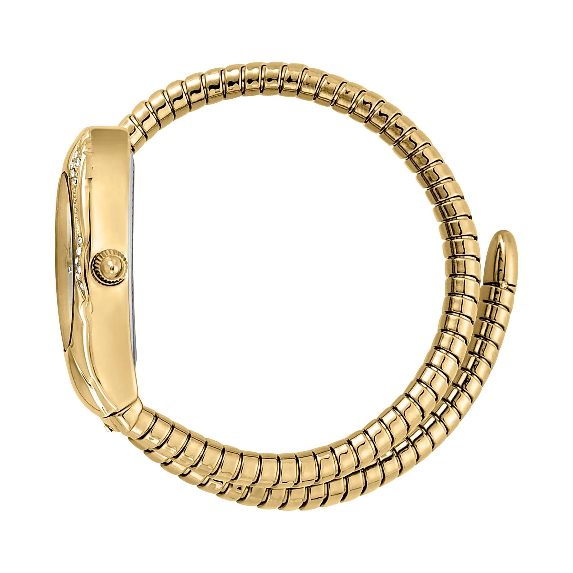 Just Cavalli Signature Snake Regali Yellow Gold image 2