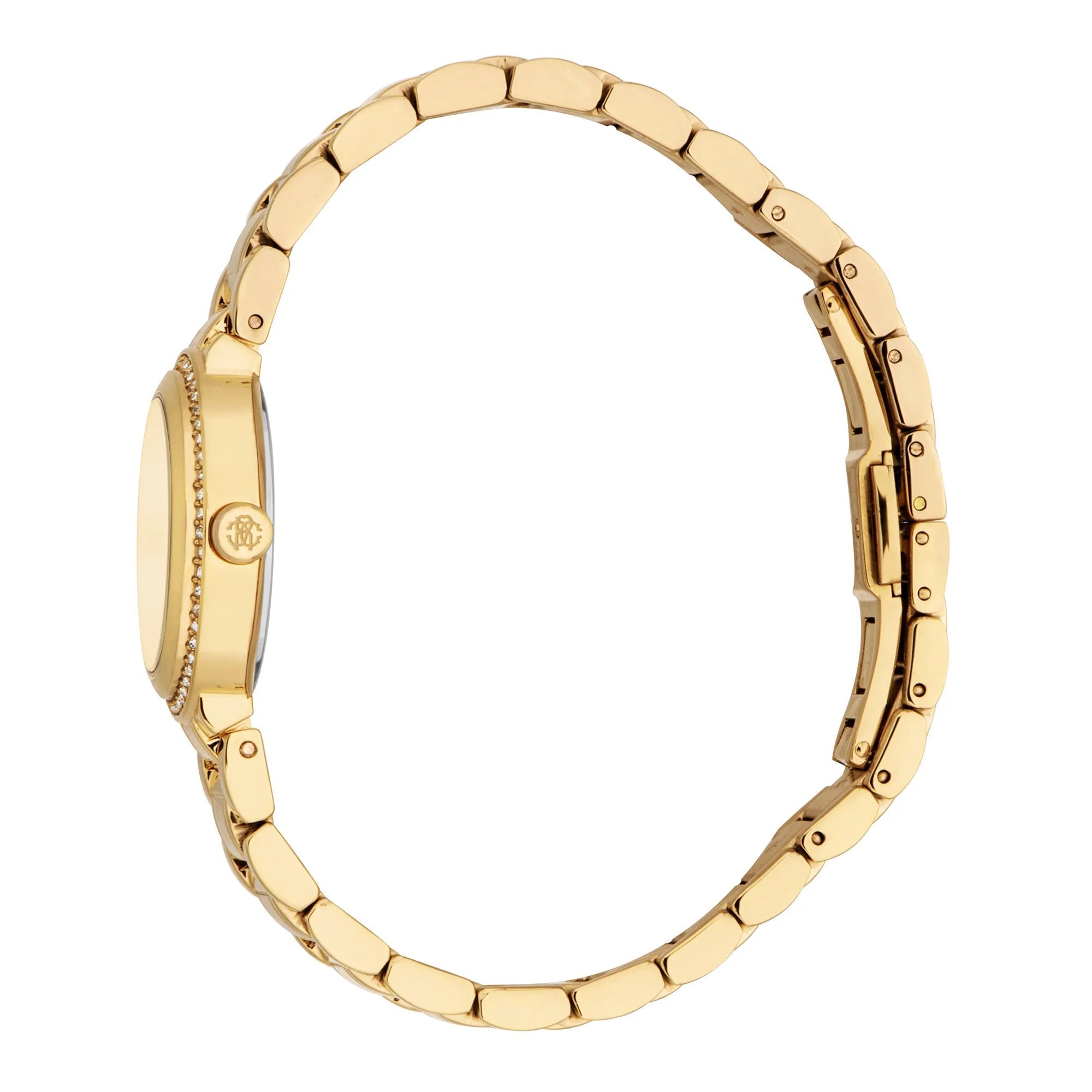 Roberto Cavalli Lady RC5L123M0065 image 2