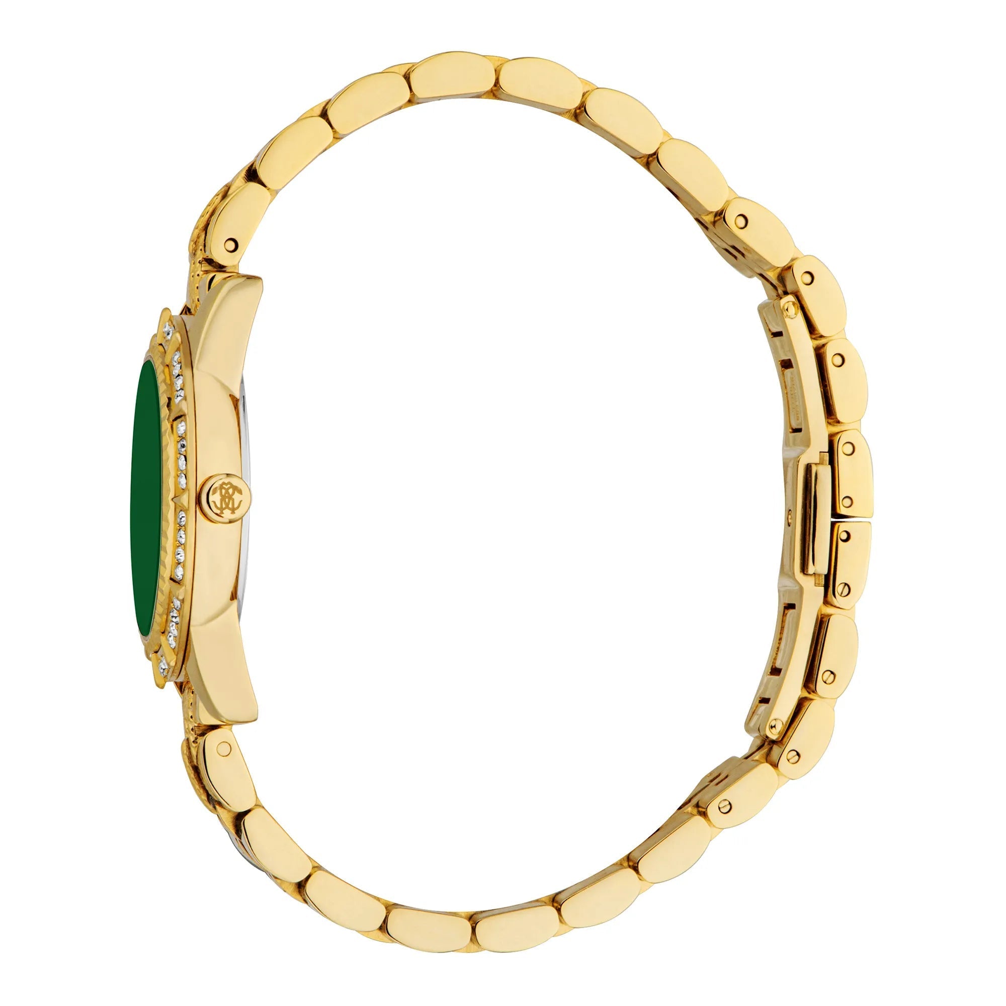 Roberto Cavalli Women's Wild Original Watch image 2