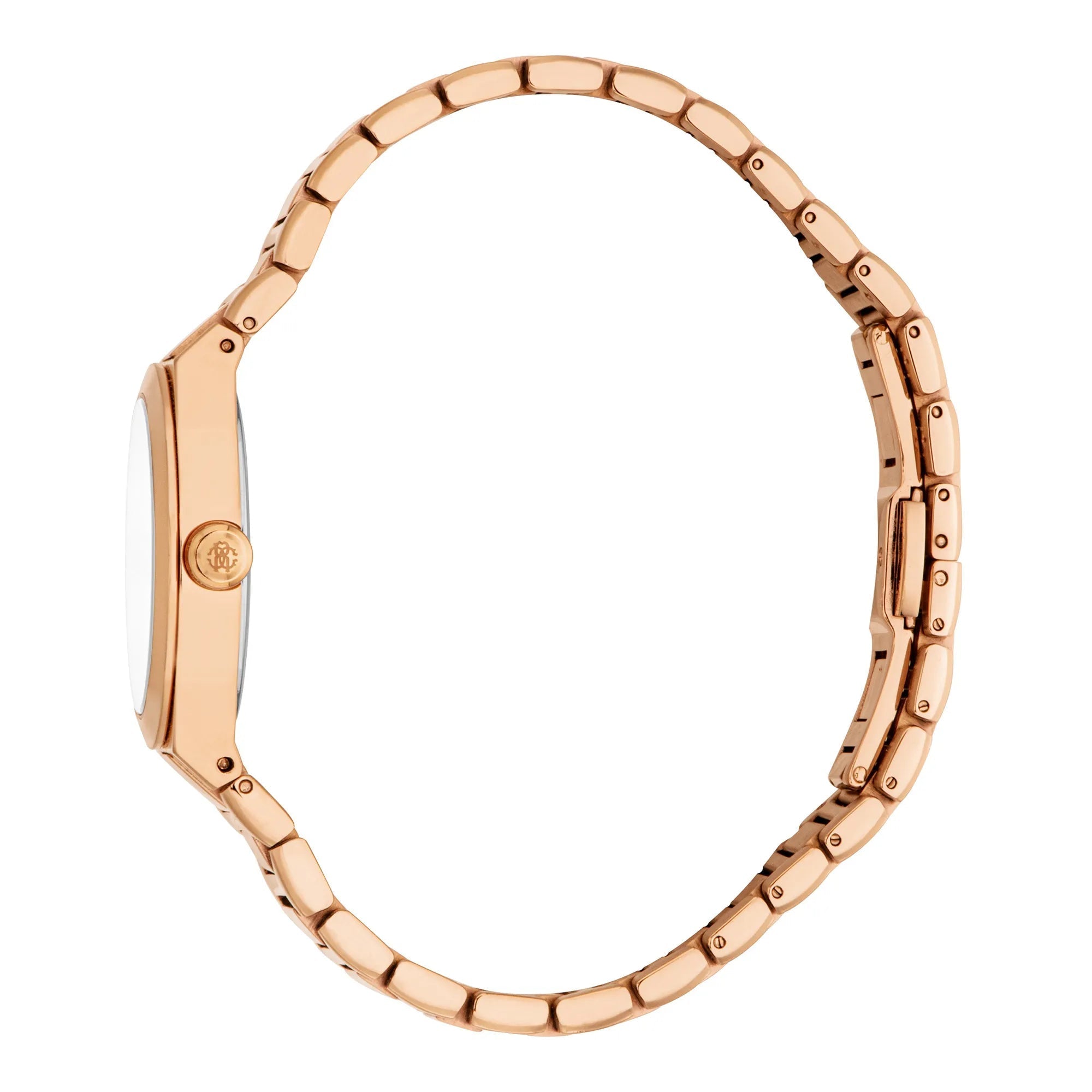 Roberto Cavalli Lady RC5L126M0045 image 2