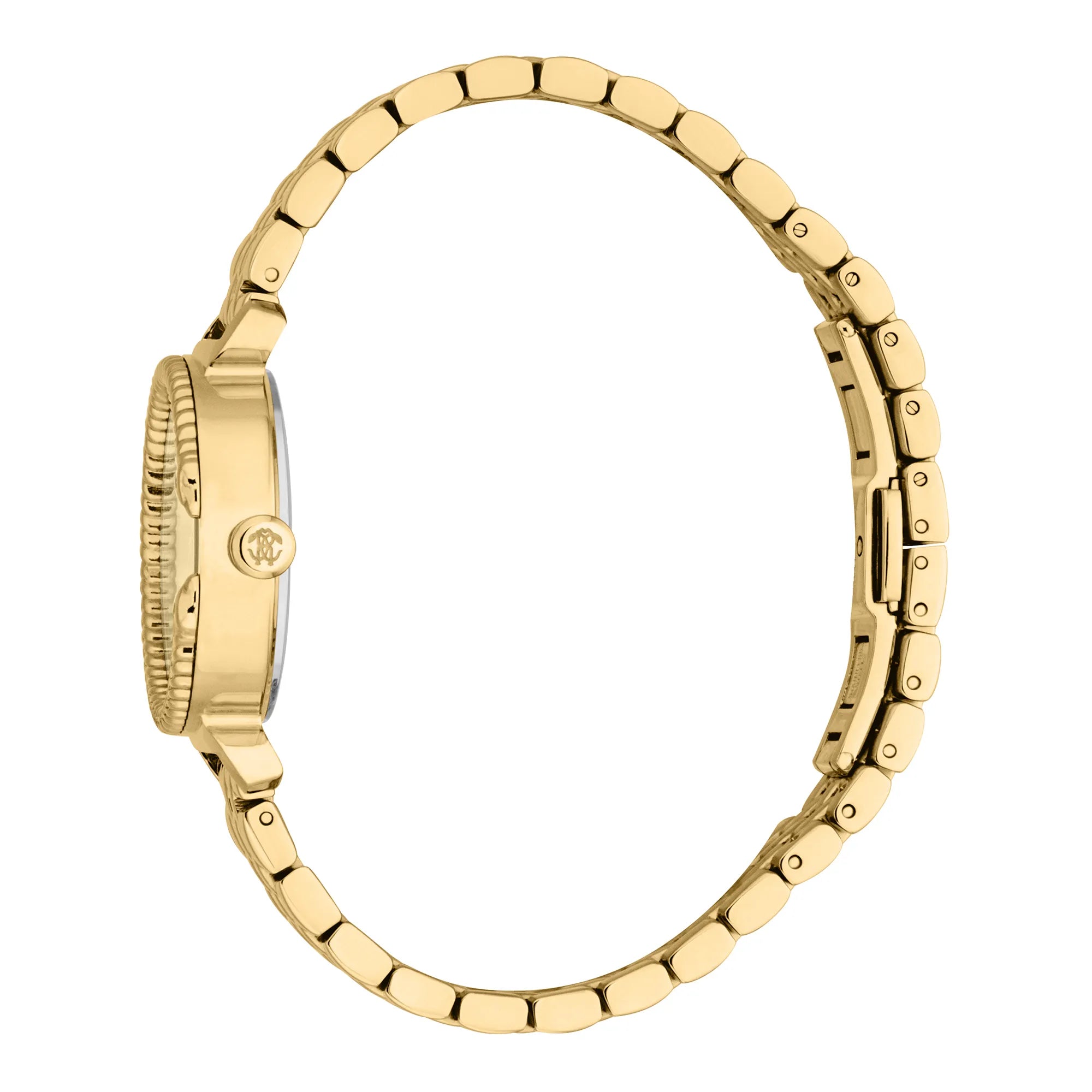 Roberto Cavalli Women's Origin Watch image 2