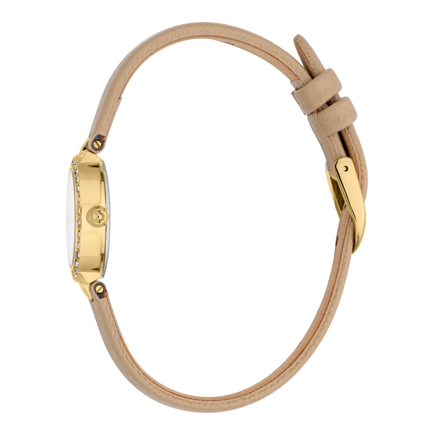 Just Cavalli Glam Chic Serenita Mini Leather Beige YG Silver image 2