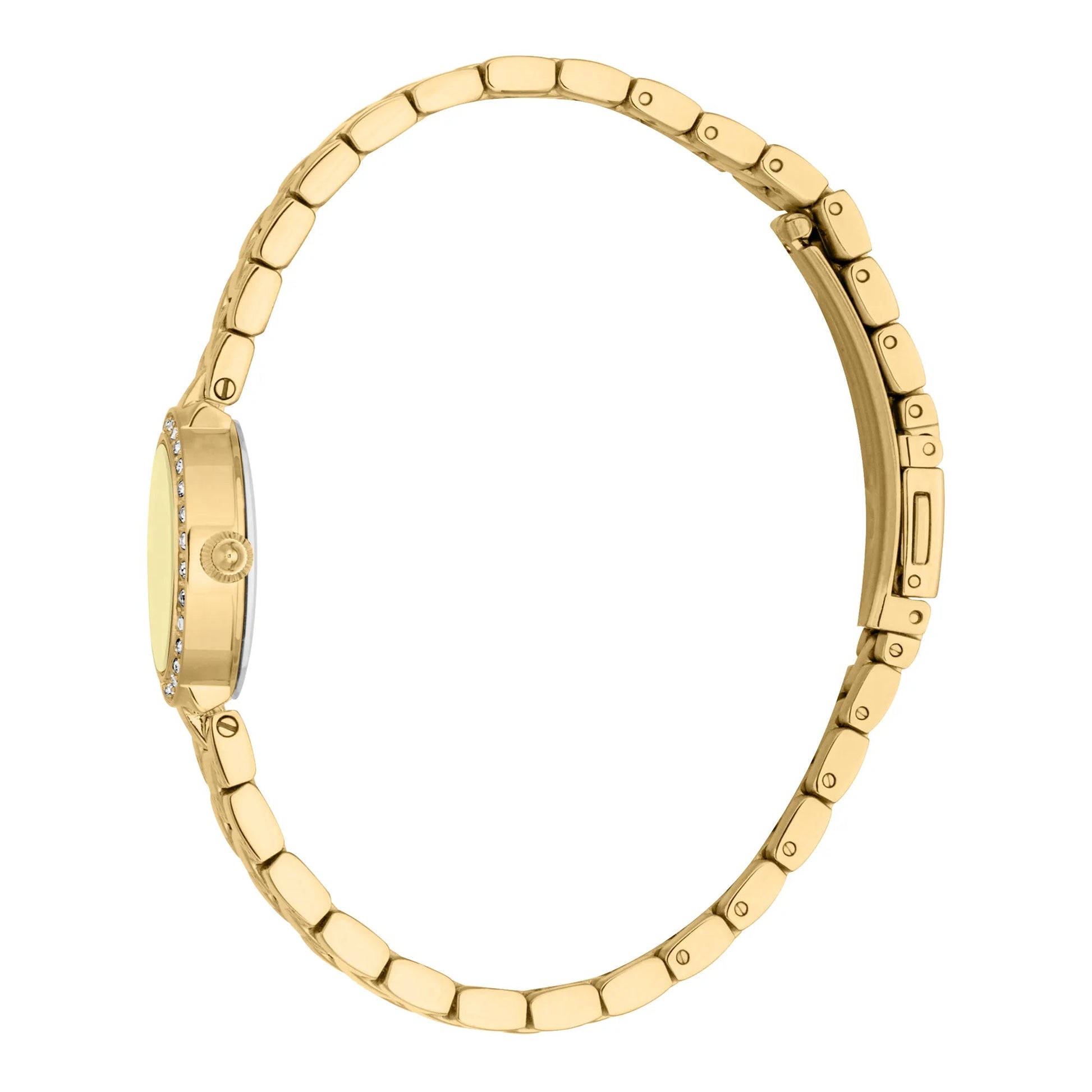 Just Cavalli Glam Chic Serenita Mini Yellow Gold Champagne image 2