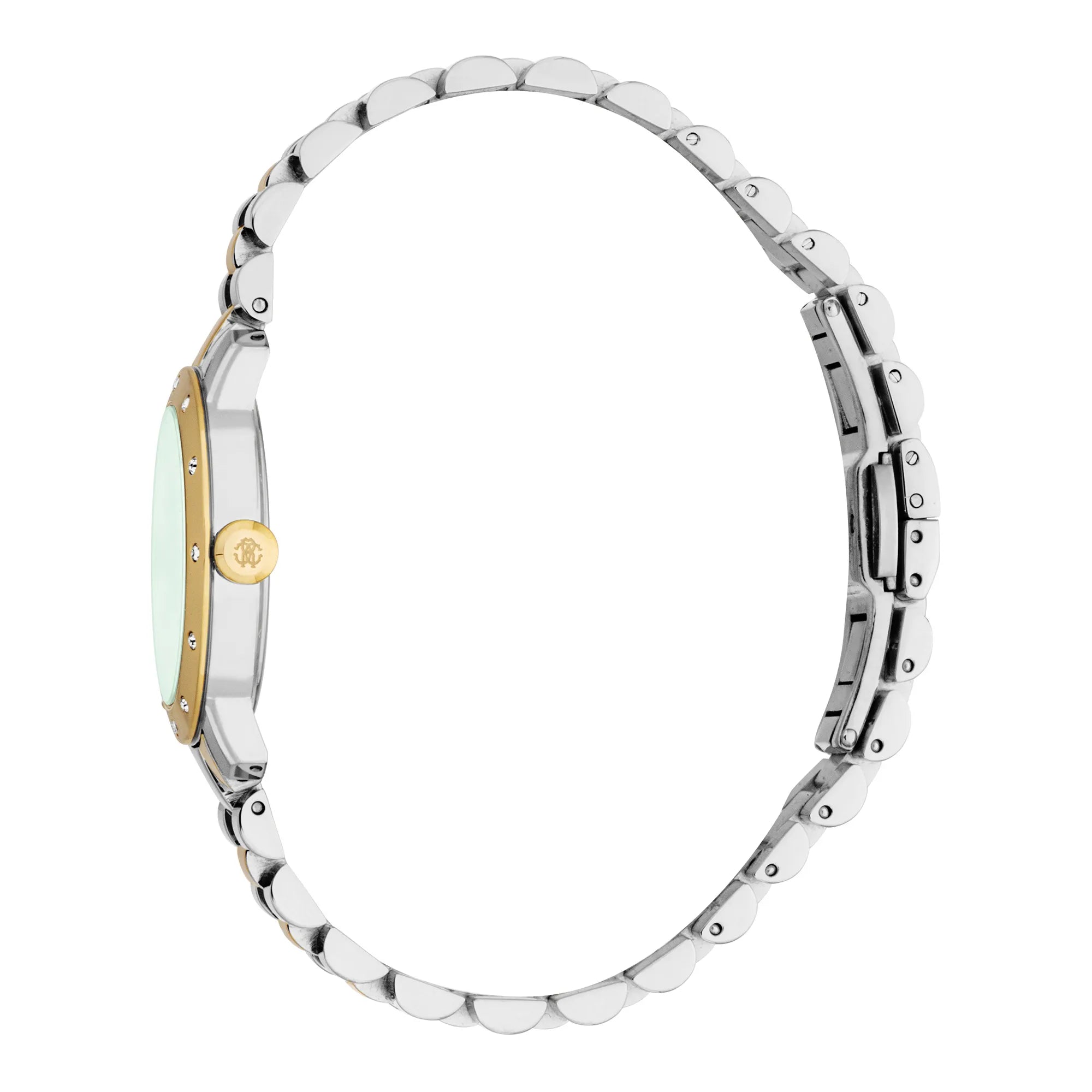 Roberto Cavalli Lady RC5L125M0075 image 2