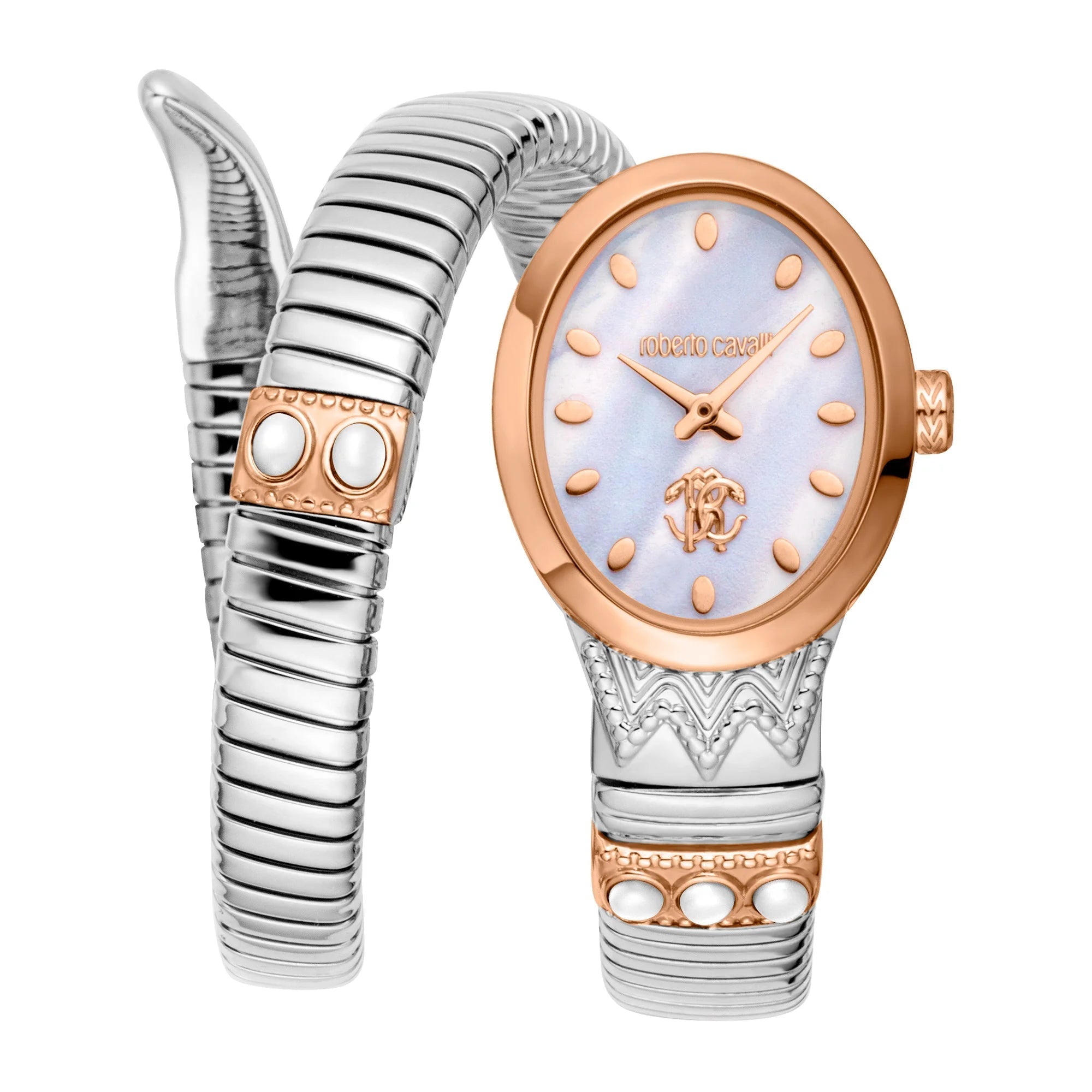 Roberto Cavalli Lady RC5L104M0065 image 0