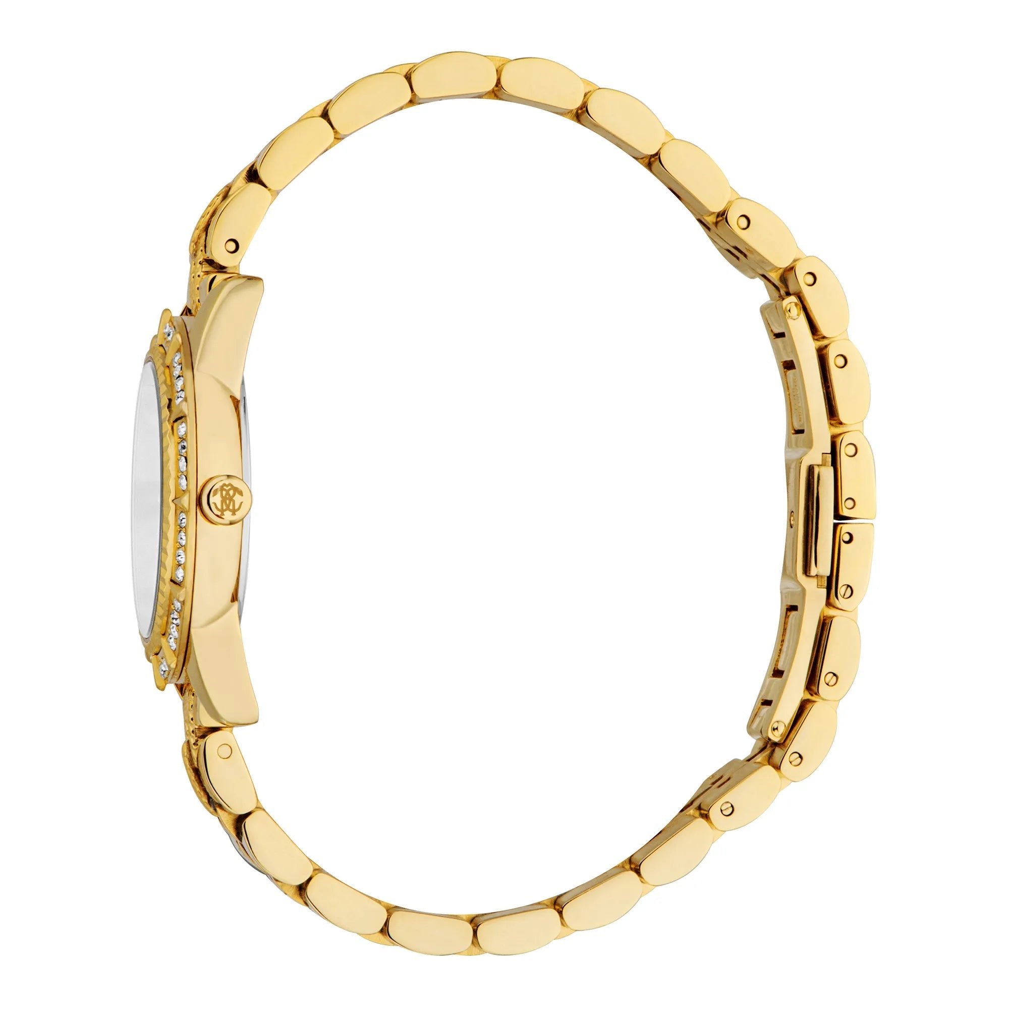 Roberto Cavalli Women's Wild Original Watch image 2