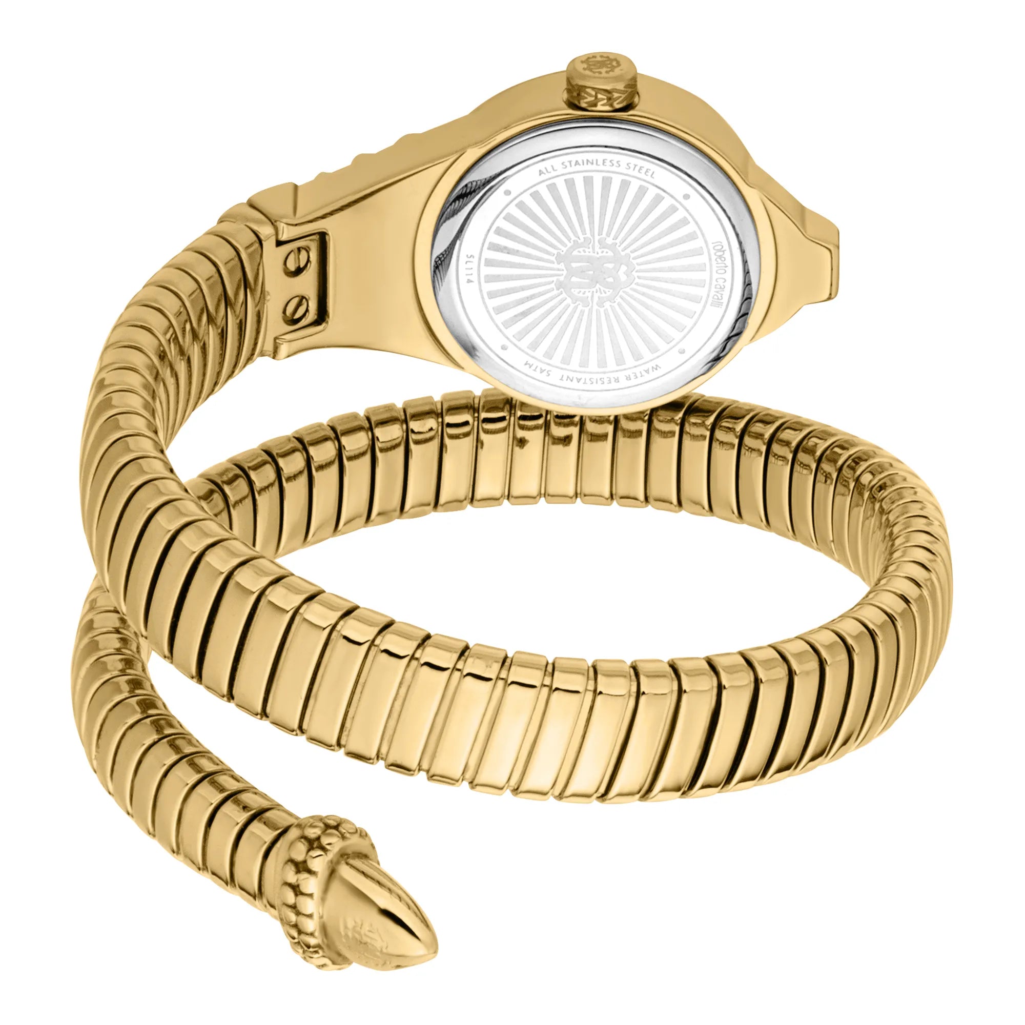 Roberto Cavalli Lady RC5L114M0045 image 1