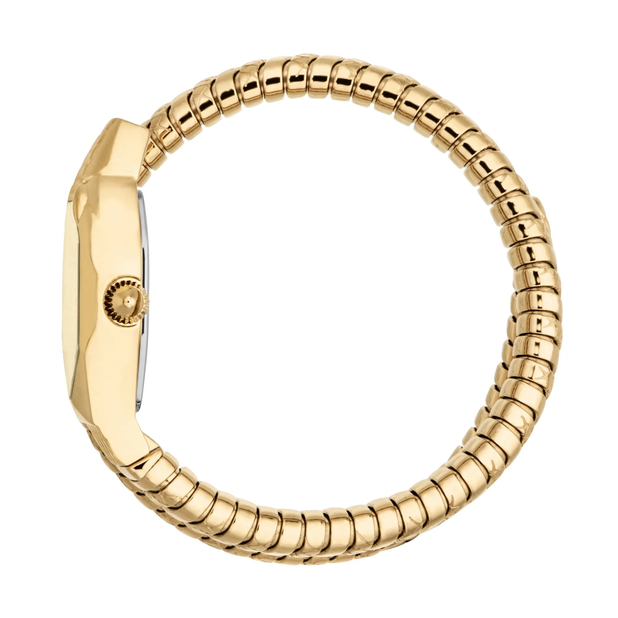 Just Cavalli Signature Snake Aria Yellow Gold Champagne image 2