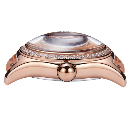 Reef Tiger Women's Aurora Parrots Automatic Skeleton Crystal Watch image 4