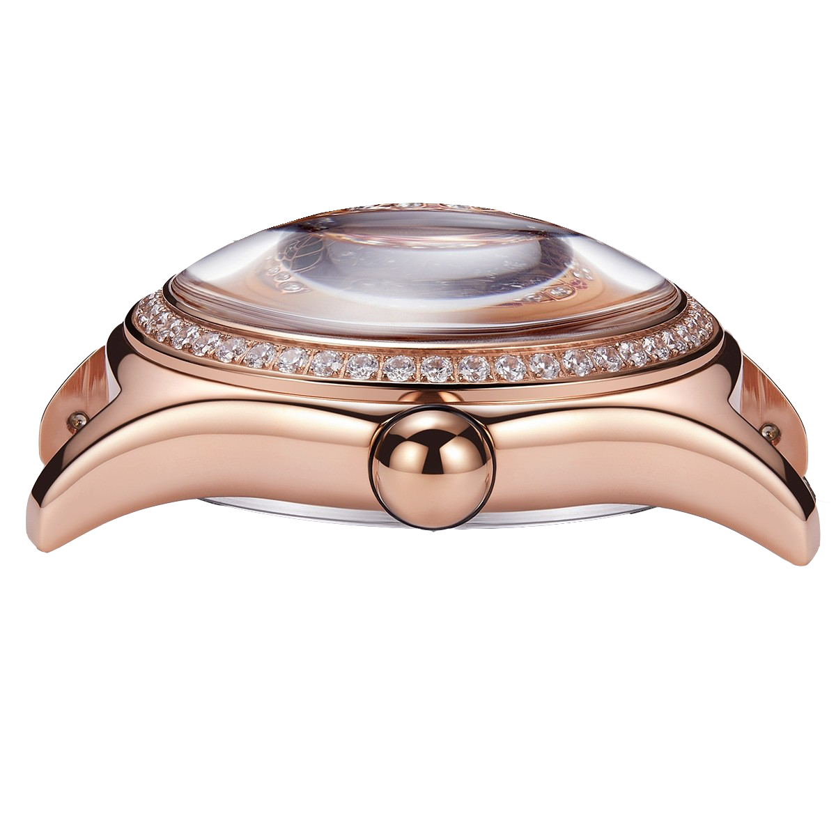 Reef Tiger Women's Aurora Parrots Automatic Skeleton Crystal Watch image 4