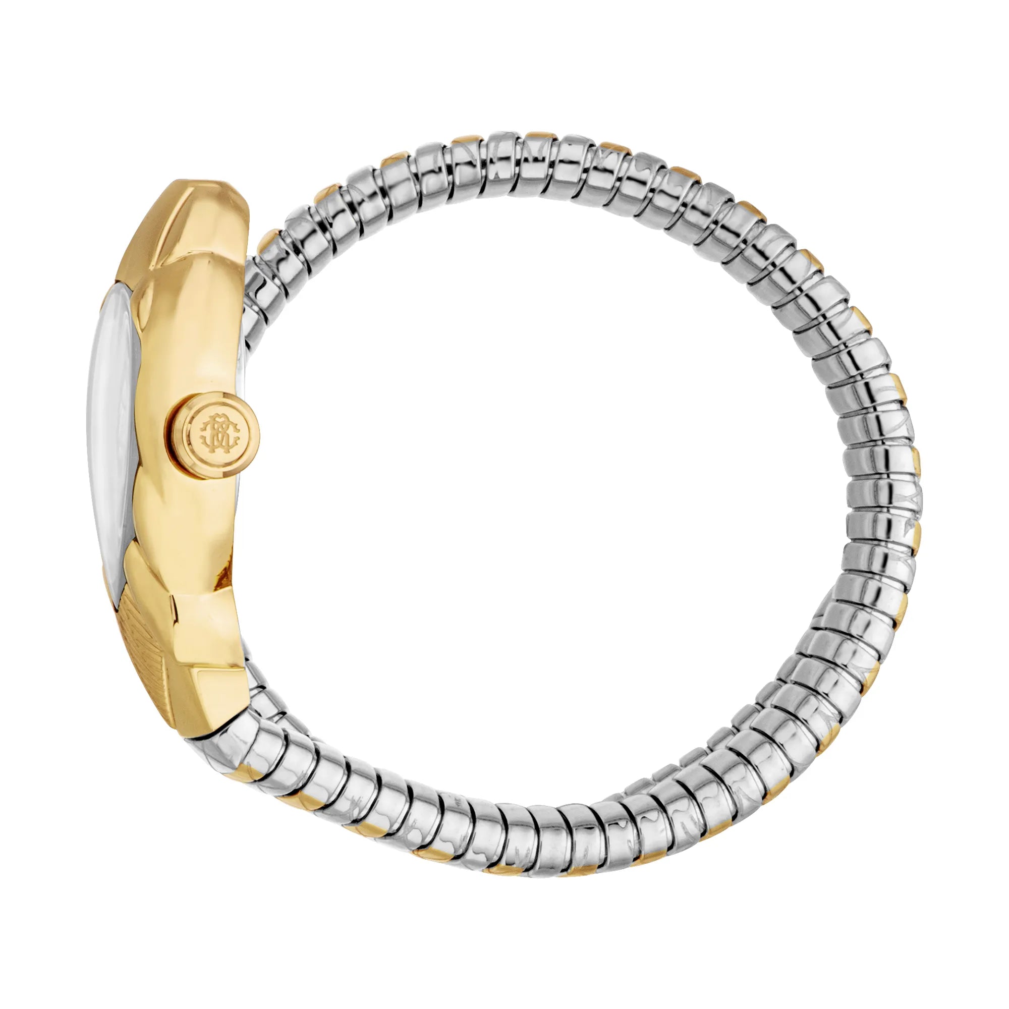 Roberto Cavalli Lady RC5L110M0075 image 2