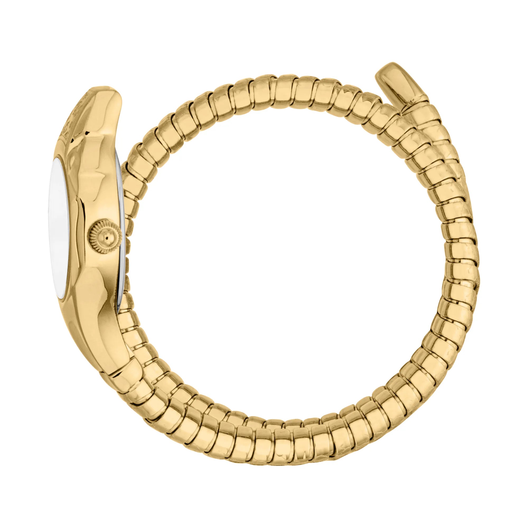Just Cavalli Signature Snake Fiore Yellow Gold Silver image 2