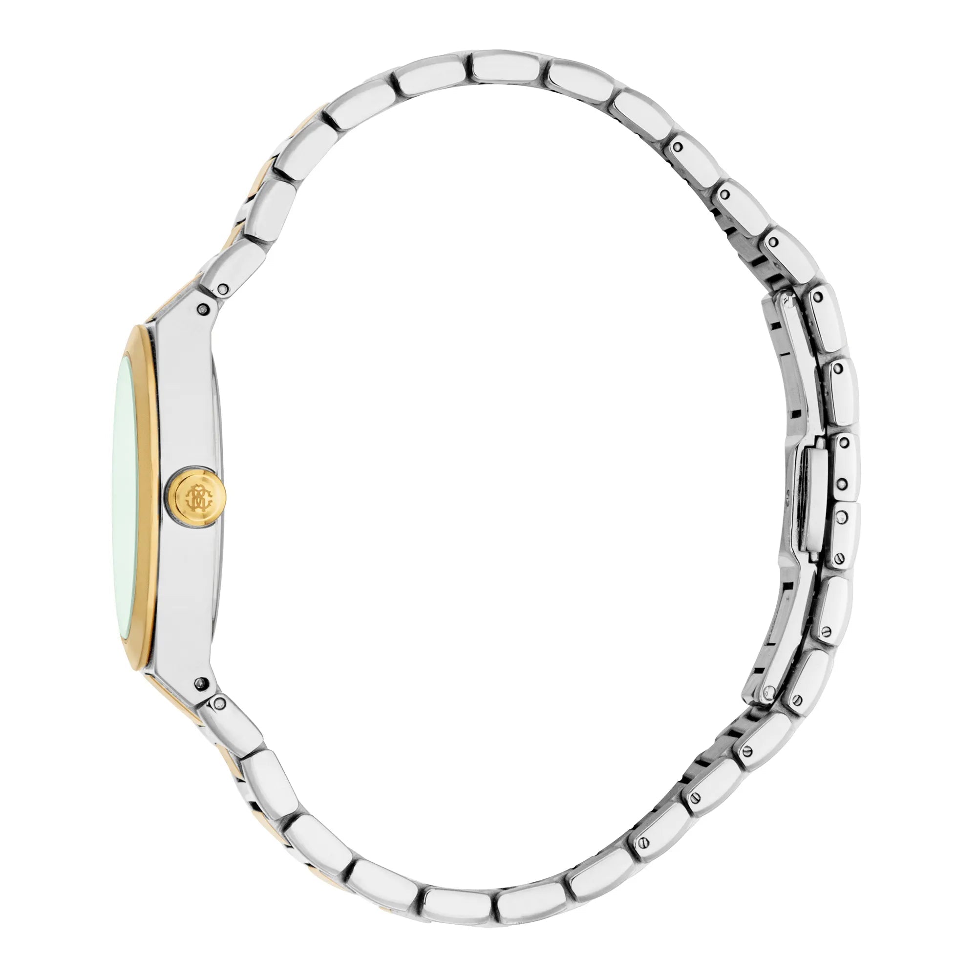 Roberto Cavalli Lady RC5L126M0065 image 2