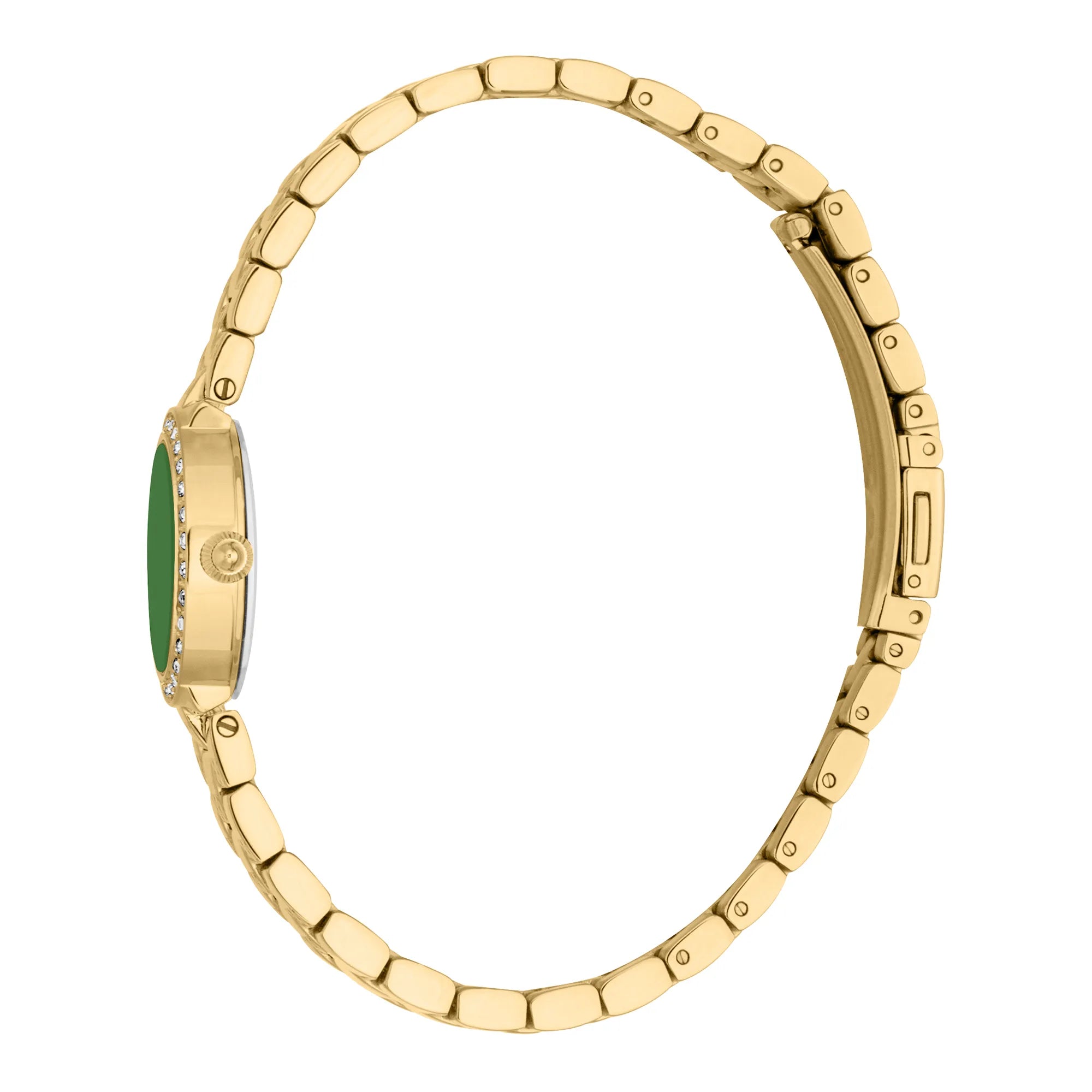 Just Cavalli Glam Chic Serenita Mini Yellow Gold Green image 2