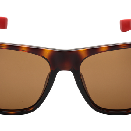 LACOSTE Unisex Wayfarer Magnetic Havana Sunglasses