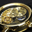 CALVANEO 1583 Estaville Automatic Watch Watch
