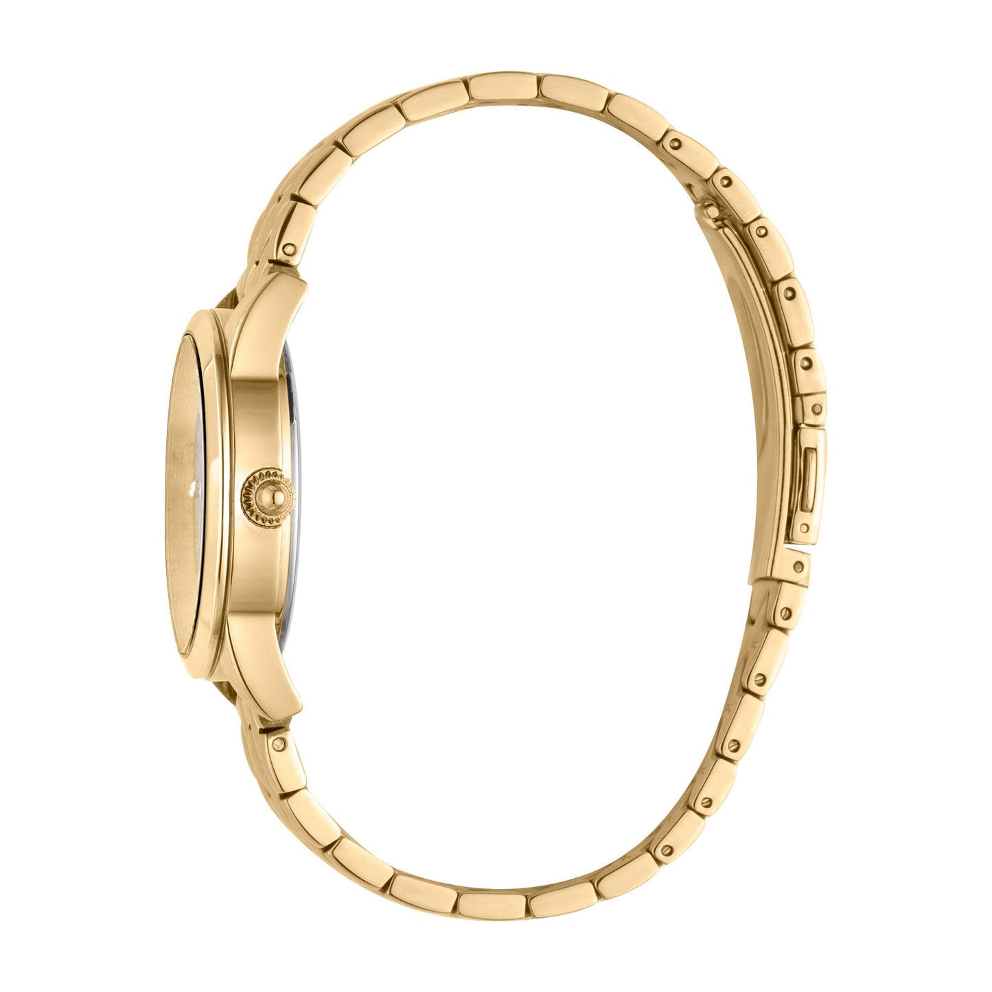 JUST CAVALLI Animalistic Diamante Zironia Gold + Free Bracelet Watch