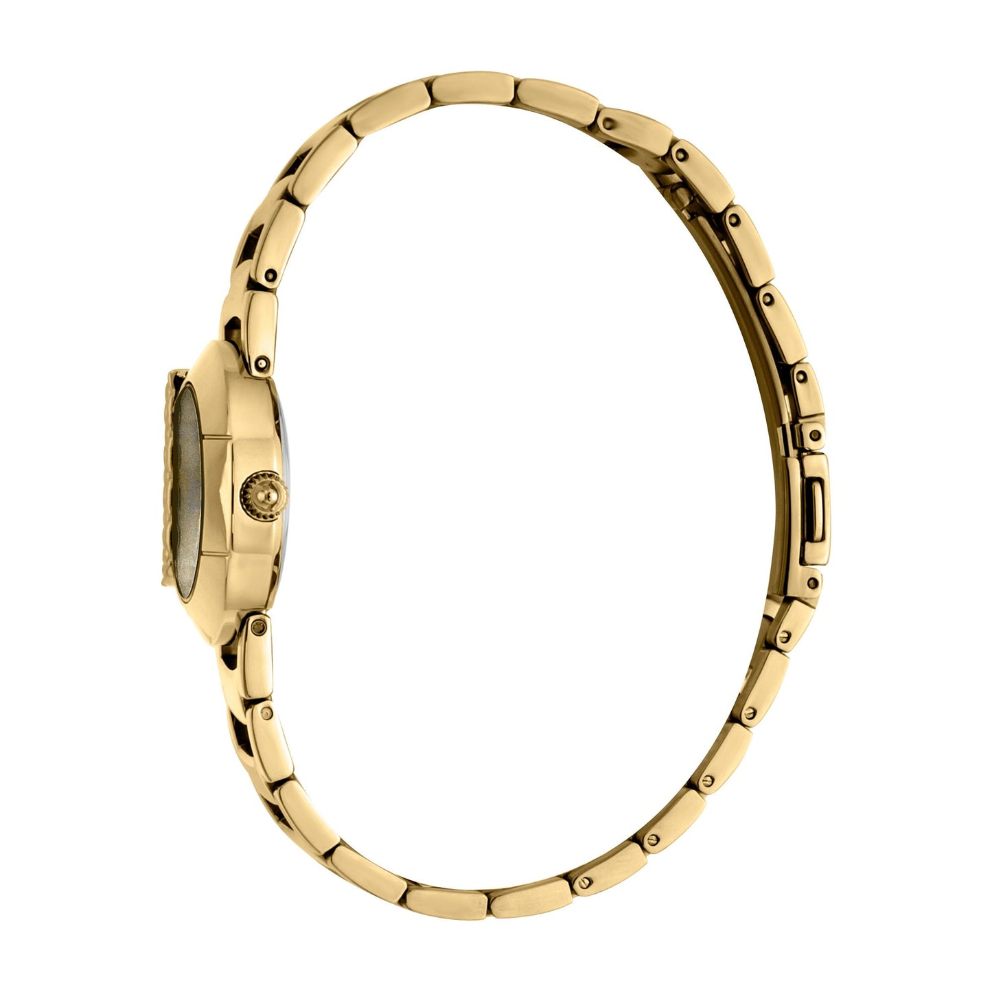 JUST CAVALLI Jungle Fever Steel Gold/Zebra Watch